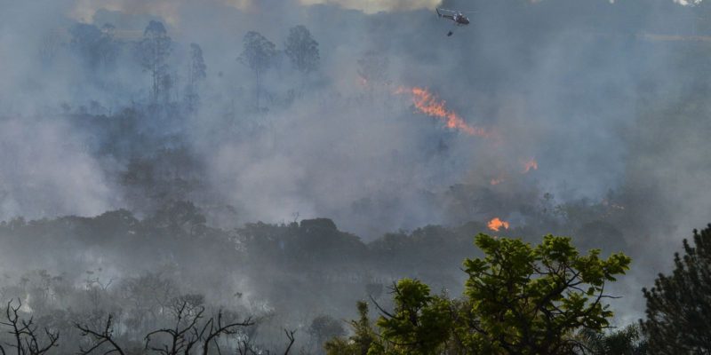 DF abre concurso para contratação temporária de brigadistas