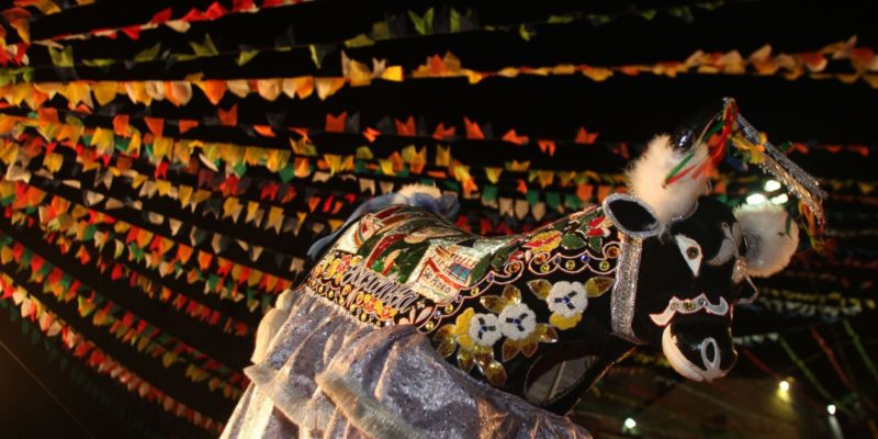 Hoje é Dia: última semana de junho traz LGBTQIA+ e Bumba Meu Boi