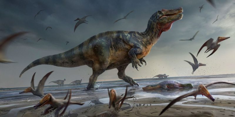 Cientistas acham restos do maior carnívoro que já existiu na Europa
