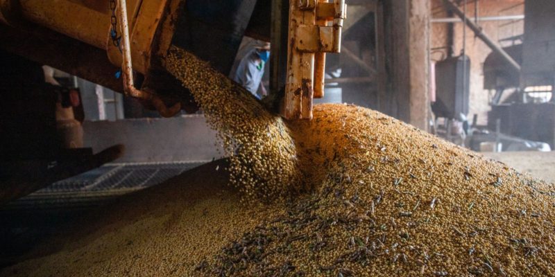 Safra de grãos deve chegar a 271,3 milhões de toneladas, estima Conab