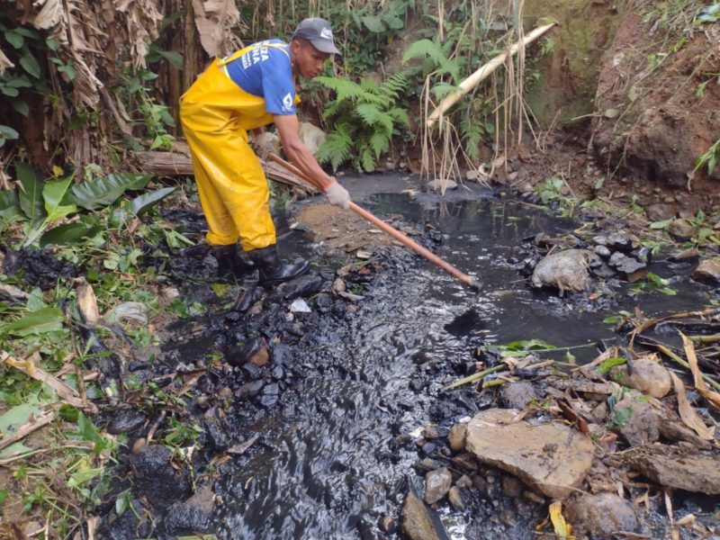 WhatsApp Image 2022 06 13 at 12.11.08