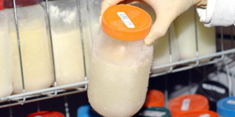 Pesquisadores usam leite materno contra covid-19 em imunossuprimido