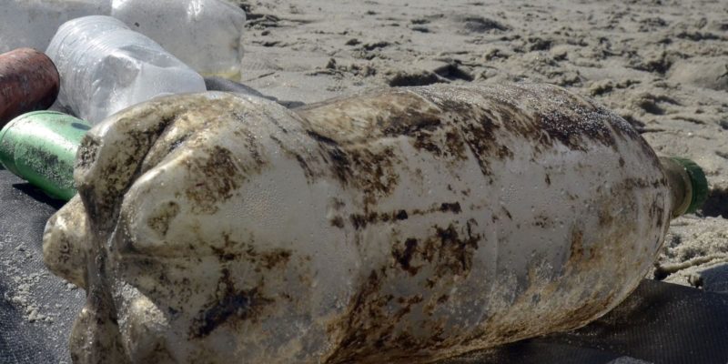 Projeto Ilhas do Rio lança manifesto pela conservação dos oceanos