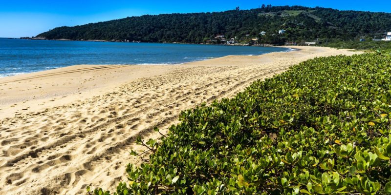 Ocupação hoteleira deve registrar alta em todo país durante feriado
