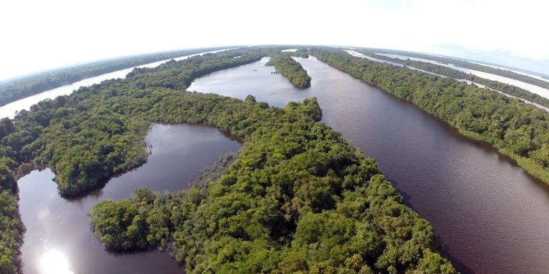 Parque Nacional de Anavilhanas é tema do Caminhos da Reportagem