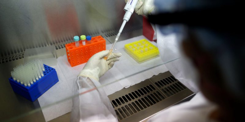 Estudo alerta para urgência de novos tratamentos contra verminoses