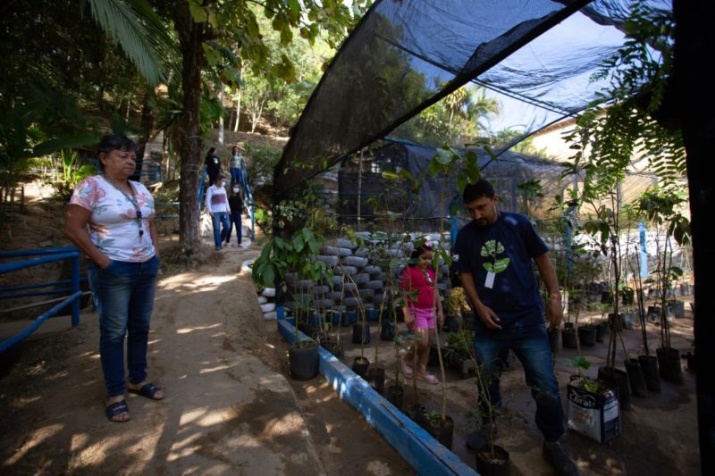 Viveiro de Mudas de Volta Redonda terá projeto de educação ambiental