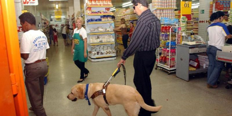 Rio permite consumidor entrar em supermercado com cães e gatos