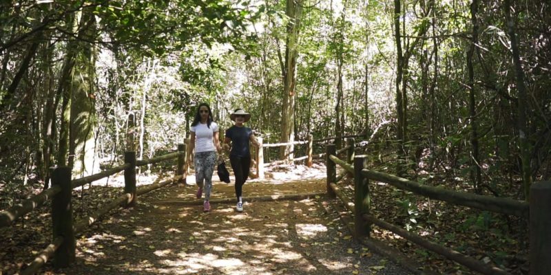 Brasília: pé na trilha das cachoeiras é tema do Caminhos da Reportagem