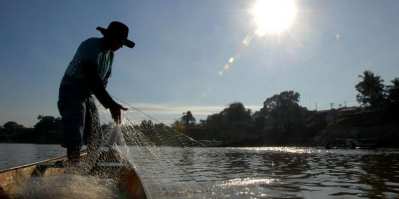 Entra em vigor período de defeso do cherne, peixe-batata e piramutaba