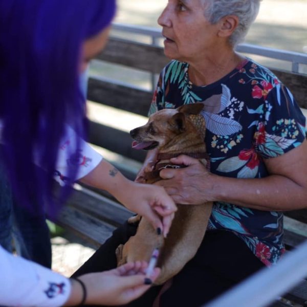 Volta Redonda tem vacinação antirrábica e espaço de adoção para animais neste sábado
