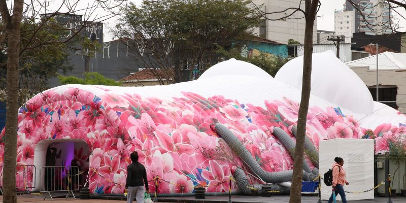 Pesquisa mostra mitos e desinformações sobre o câncer de mama