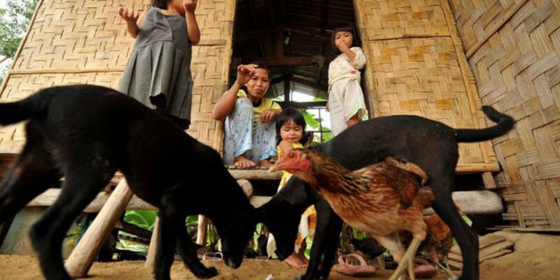 Agência Brasil explica importância de vacina para prevenção da raiva