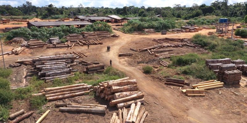 Mato Grosso intensifica ações contra crimes ambientais
