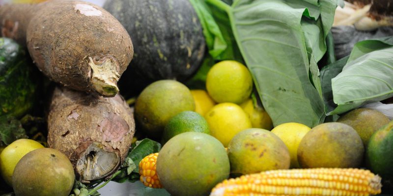Brasileiros estão dispostos a pagar mais por alimentos saudáveis