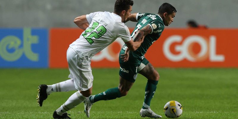 Palmeira recebe o América-MG no jogo de entrega da taça