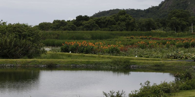 Novo parque em Niterói busca melhorar água e vegetação de lagoa