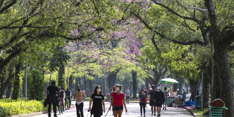 Turismo em São Paulo retoma patamar pré-pandemia