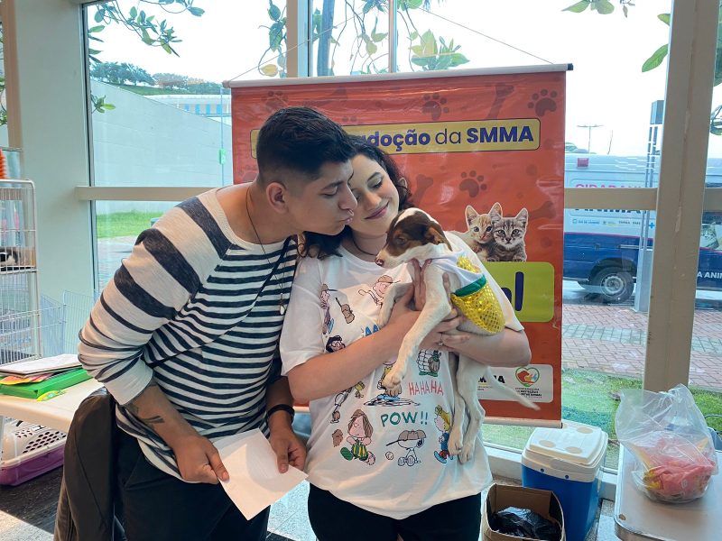 Primeiro espaço de adoção do ano consegue novo lar para dez animais em Volta Redonda