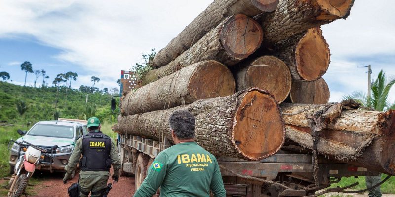 Ibama: Grupo vai fiscalizar fraudes em sistemas de controle florestal