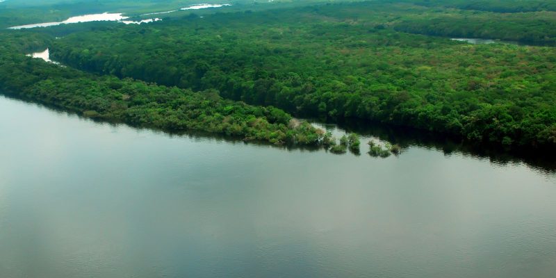 EUA estão empenhados em arrecadar recursos vultosos para Amazônia