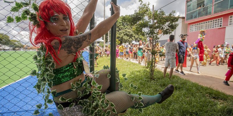 Bloco das Trepadeiras estreia no carnaval de Brasília