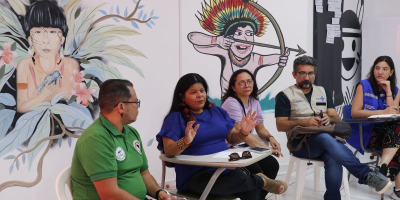 Ministra diz que é preciso garantir alimentos próprios dos yanomami