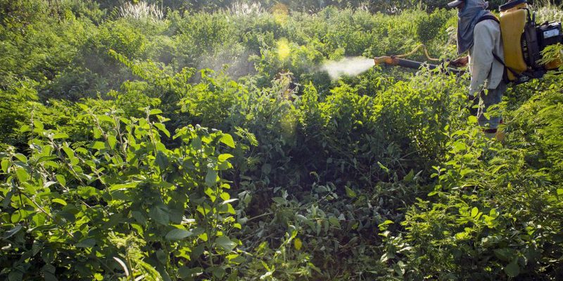 ONU: supermicróbios podem causar 10 milhões de mortes ao ano até 2050