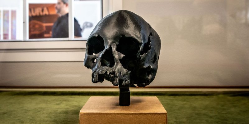 Museu Nacional/UFRJ prevê entrega de biblioteca científica em março