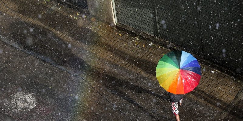 Estado do Rio tem 24 casos confirmados de leptospirose este ano