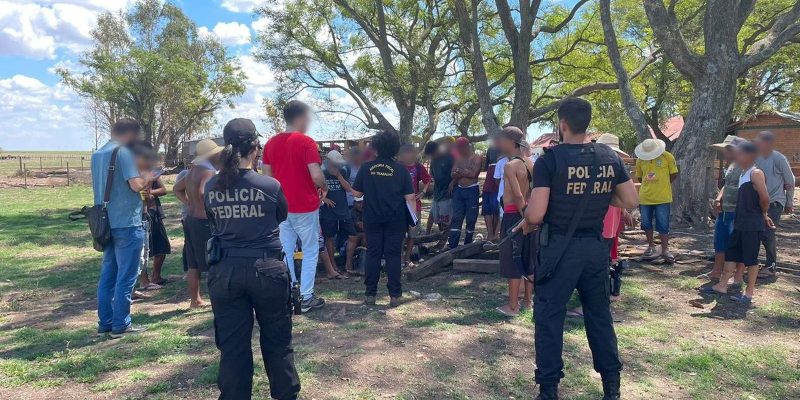Ação no sul do país liberta 56 pessoas submetidas a trabalho escravo
