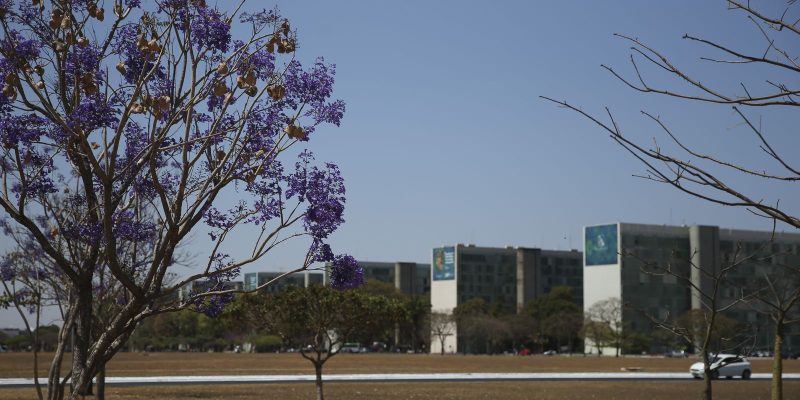 Participação feminina em cargos no governo federal mostra estagnação