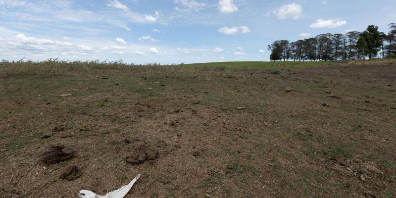 Governo lança plataforma para identificar vulnerabilidades climáticas