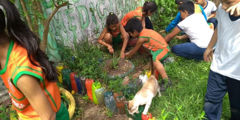 Bullying: combate deve ser feito de forma coletiva e intersetorial