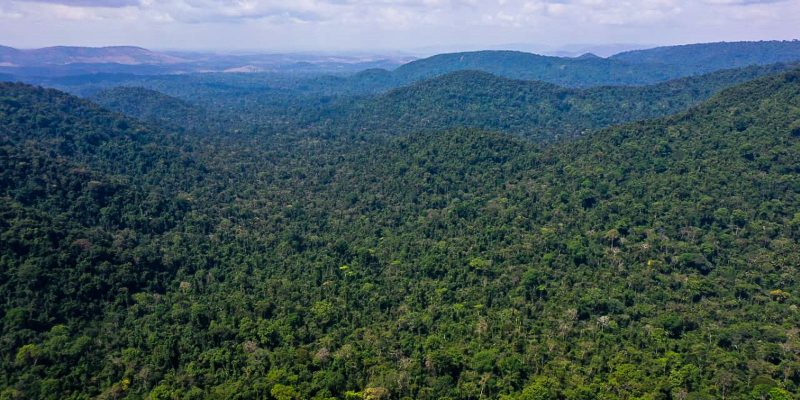 EUA anunciam US$ 500 milhões para Fundo Amazônia em cinco anos