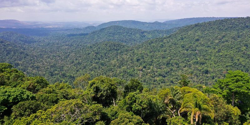 Lula quer política unificada para a região amazônica