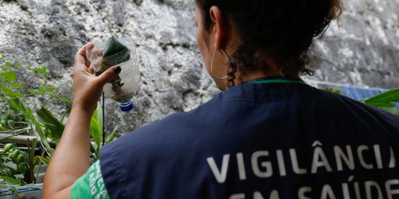Capital paulista descarta dengue em 15 mortes investigadas neste ano