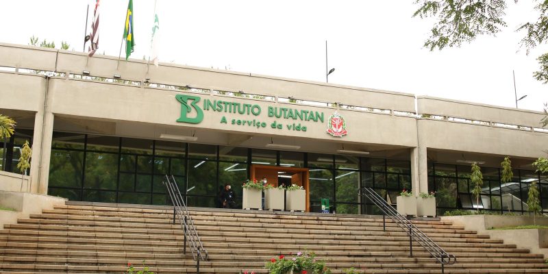 Butantan começa a desenvolver vacina contra gripe aviária