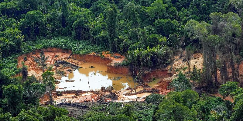 Mulher é encontrada morta em Terra Indígena Yanomami