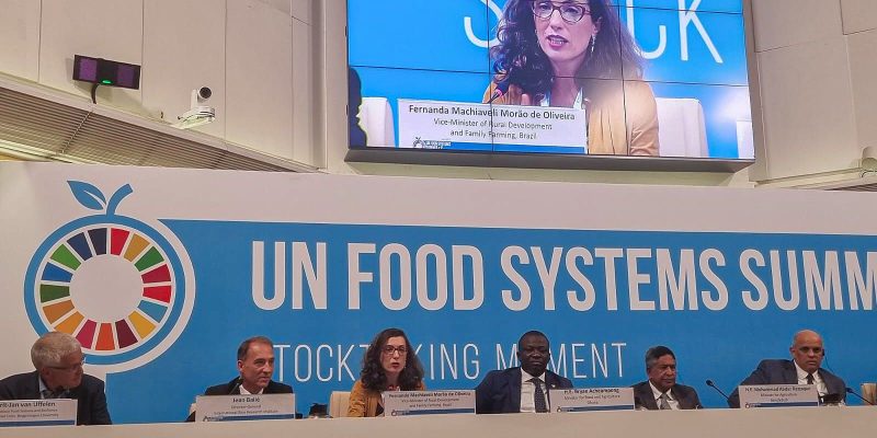 Brasil muda posição sobre liberalizar comércio mundial de alimentos
