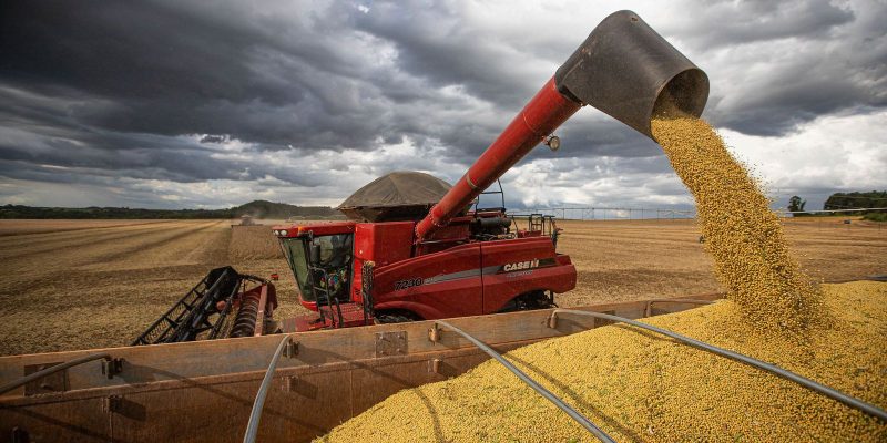 Conab estima safra recorde de 317,6 milhões de toneladas em 2023