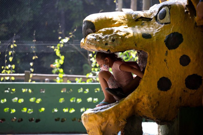 Zoológico Municipal de Volta Redonda oferece programação especial de férias para crianças
