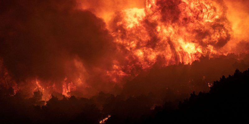Incêndio florestal na Grécia é o "maior em solo europeu em anos"