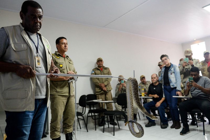 Servidores da Secretaria de Meio Ambiente participam de capacitacao sobre
