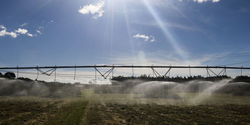 BNDES antecipa liberação de R$ 5,1 bilhões para o Plano Safra