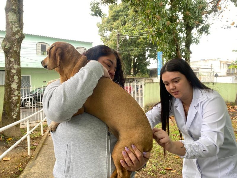 Volta Redonda tem vacinação antirrábica e espaço de adoção de animais neste sábado (16)