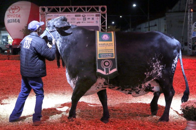 Expo Girolando e aberta oficialmente em Barra Mansa – Barra