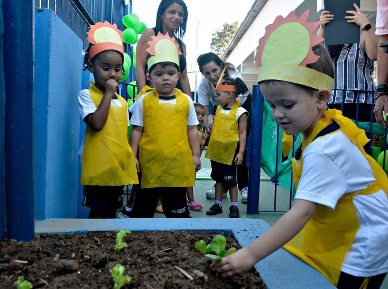 Creche de Volta Redonda ganha horta para educação ambiental