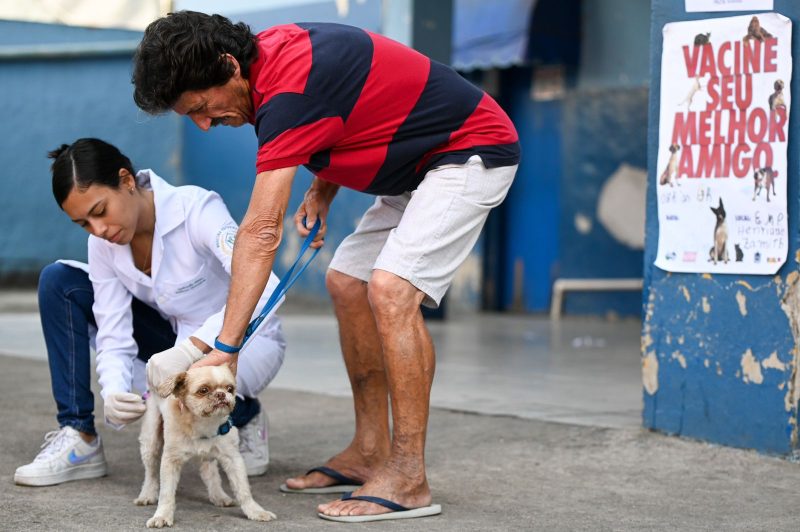 Prefeitura de Barra Mansa realiza vacina antirrabica em diferentes bairros