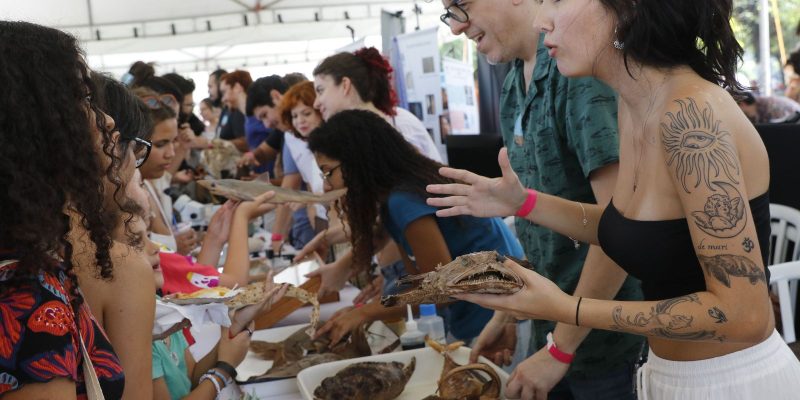 Festival Museu Nacional Vive leva público à Quinta da Boa Vista